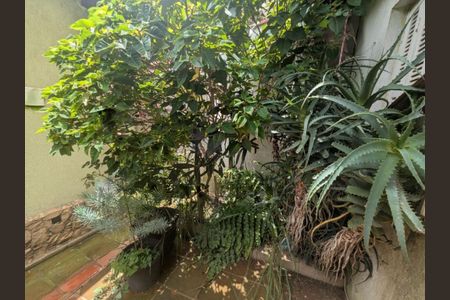 Casa à venda com 3 quartos, 145m² em Jardim Consorcio, São Paulo