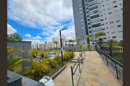 Apartamento à venda com 3 quartos, 81m² em Vila Santa Catarina, São Paulo
