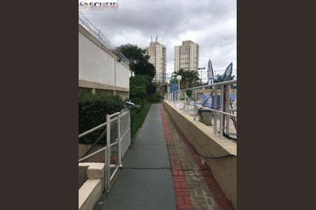 Apartamento à venda com 3 quartos, 75m² em Vila Constancia, São Paulo