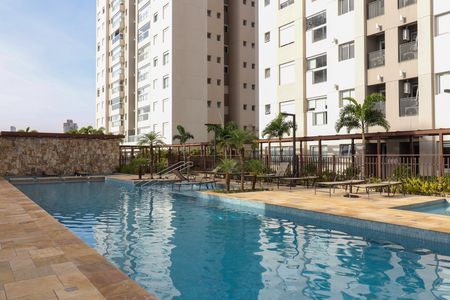 Apartamento para alugar com 83m², 2 quartos e 2 vagas Apartamento para alugar com 83m², 2 quartos e 2 vagasÁrea comum - Piscina