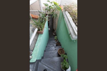 Casa para alugar com 286m², 5 quartos e 4 vagas