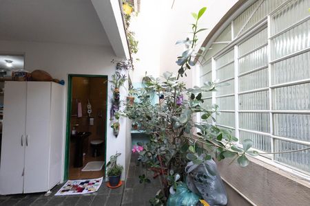 Casa para alugar com 286m², 5 quartos e 4 vagas