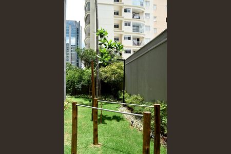 Apartamento para alugar com 48m², 1 quarto e sem vagaPetplace