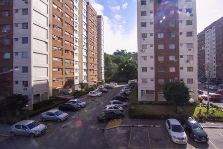 Apartamento para alugar com 69m², 2 quartos e 1 vagaVista do Quarto 1
