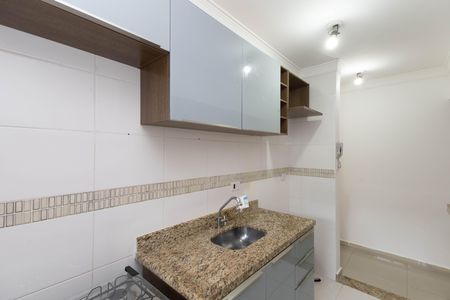 Apartamento para alugar com 53m², 2 quartos e 1 vaga Apartamento para alugar com 53m², 2 quartos e 1 vagaCozinha - Armários