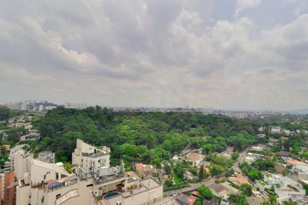 Apartamento à venda com 5 quartos, 756m² em Real Parque, São Paulo