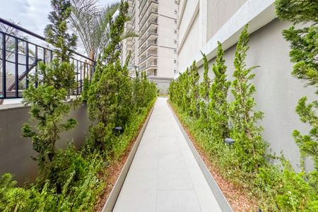 Área Externa de kitnet/studio para alugar com 1 quarto, 28m² em Ipiranga, São Paulo