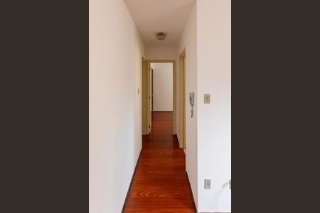 Corredor de apartamento para alugar com 1 quarto, 54m² em Cambuí, Campinas