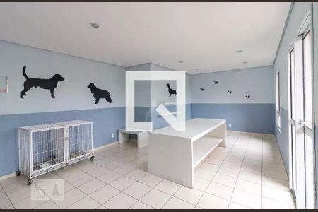 Apartamento para alugar com 79m², 3 quartos e 2 vagas Apartamento para alugar com 79m², 3 quartos e 2 vagasPet Care