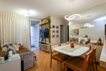 Sala de apartamento para alugar com 2 quartos, 48m² em Super Quadra Morumbi, São Paulo