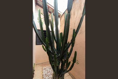 Área de Luz de casa à venda com 3 quartos, 136m² em Parque Via Norte, Campinas