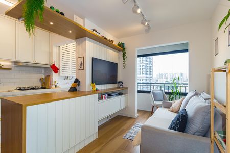 Sala de apartamento para alugar com 2 quartos, 42m² em Belenzinho, São Paulo