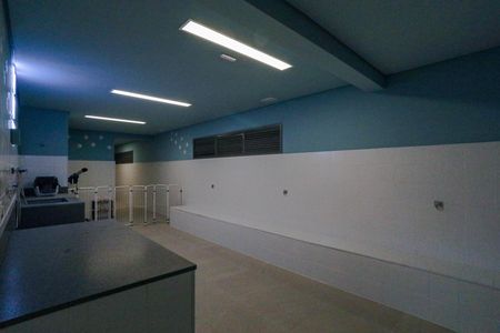 Apartamento para alugar com 50m², 2 quartos e 1 vagaÁrea Comum