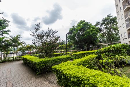 Apartamento para alugar com 55m², 2 quartos e 2 vagas Apartamento para alugar com 55m², 2 quartos e 2 vagasÁrea comum