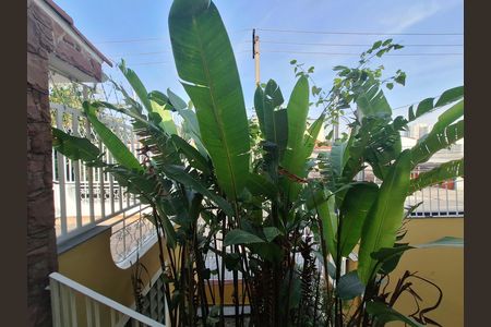 Vista Quarto 1 de casa para alugar com 2 quartos, 140m² em Santana, São Paulo