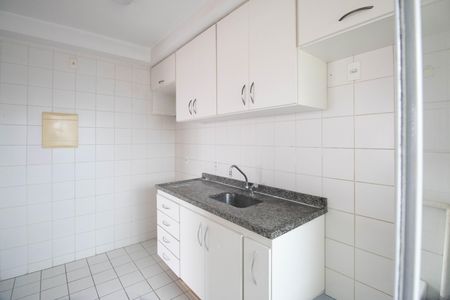 Apartamento para alugar com 155m², 3 quartos e 2 vagas Apartamento para alugar com 155m², 3 quartos e 2 vagasCozinha - Armários