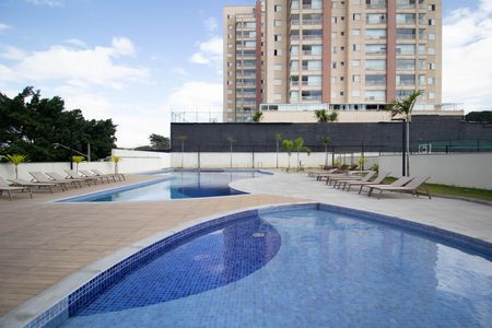 Área comum - Piscina de apartamento para alugar com 2 quartos, 70m² em Parque Sao Domingos, São Paulo