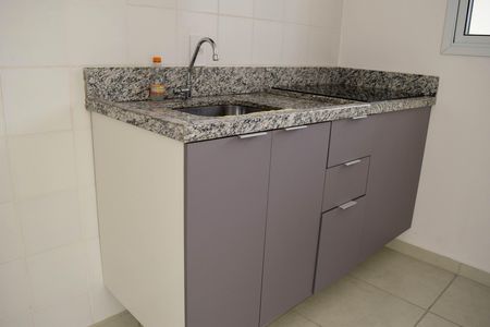 Cozinha de apartamento para alugar com 1 quarto, 35m² em Cidade Mãe do Céu, São Paulo
