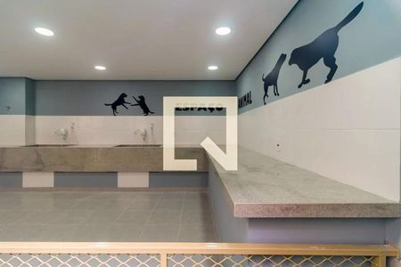 Apartamento para alugar com 39m², 2 quartos e sem vaga Apartamento para alugar com 39m², 2 quartos e sem vagaEspaço Pet