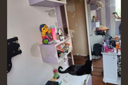Apartamento à venda com 3 quartos, 62m² em Vila Inglesa, São Paulo