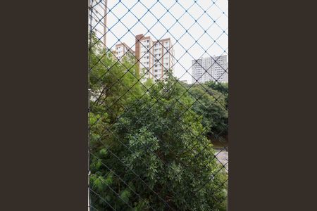 Apartamento à venda com 55m², 2 quartos e 1 vagaQuarto 2 - Janela