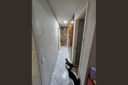 Apartamento à venda com 87m², 3 quartos e sem vaga
