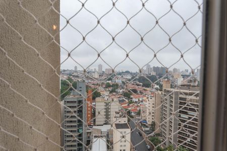 Vista do Quarto 1 de apartamento para alugar com 3 quartos, 85m² em Vila Paraiso, Campinas