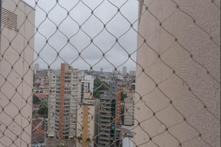 Apartamento para alugar com 85m², 3 quartos e 1 vaga Apartamento para alugar com 85m², 3 quartos e 1 vagaVista do Quarto 3
