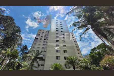 Apartamento à venda com 3 quartos, 75m² em Vila Sao Paulo, São Paulo