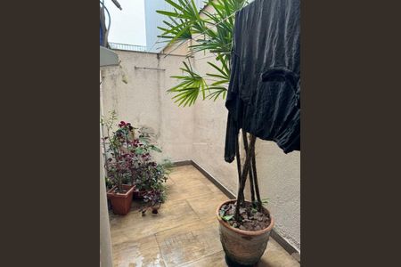 Casa à venda com 3 quartos, 350m² em Vila Sonia, São Paulo