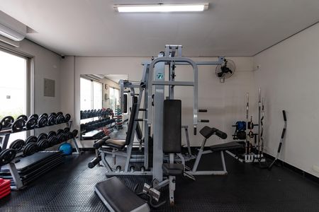 Apartamento para alugar com 88m², 3 quartos e 1 vaga Apartamento para alugar com 88m², 3 quartos e 1 vagaAcademia