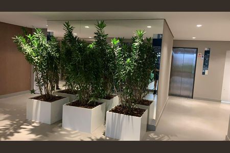 Apartamento à venda com 72m², 2 quartos e 2 vagas