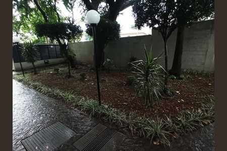 Apartamento para alugar com 60m², 3 quartos e 1 vaga Apartamento para alugar com 60m², 3 quartos e 1 vagaÁrea comum