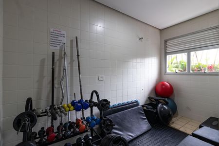 Apartamento para alugar com 47m², 2 quartos e 1 vaga Apartamento para alugar com 47m², 2 quartos e 1 vagaAcademia