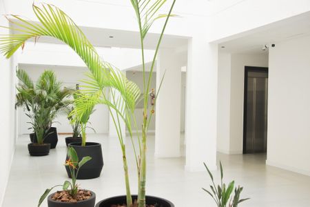 Apartamento para alugar com 60m², 2 quartos e 1 vaga Apartamento para alugar com 60m², 2 quartos e 1 vagaHall de Entrada