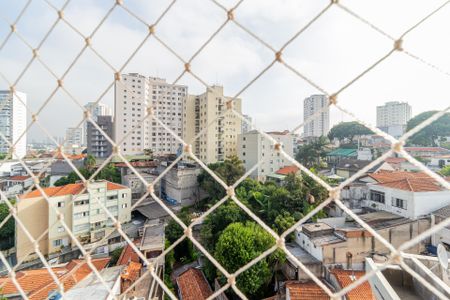 Apartamento à venda com 3 quartos, 60m² em Vila Monumento, São Paulo