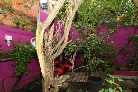 Casa à venda com 208m², 2 quartos e 5 vagasQuintal - Jardim