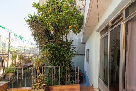 Casa à venda com 231m², 3 quartos e 3 vagasTerraço