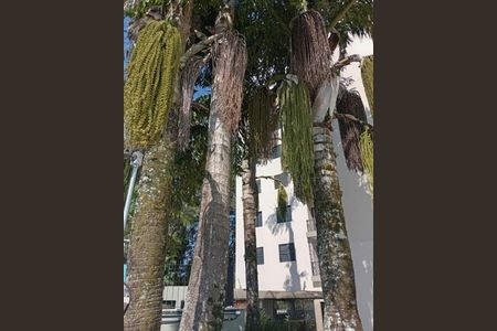 Apartamento à venda com 70m², 2 quartos e 1 vaga