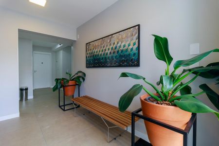 Apartamento para alugar com 43m², 2 quartos e sem vaga Apartamento para alugar com 43m², 2 quartos e sem vagaHall Social