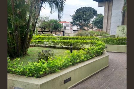Apartamento à venda com 2 quartos, 62m² em Vila Santa Catarina, São Paulo