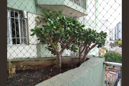 Apartamento para alugar com 48m², 2 quartos e sem vaga Apartamento para alugar com 48m², 2 quartos e sem vagaVaranda