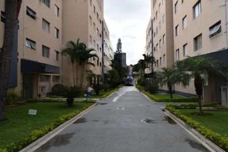 Apartamento à venda com 2 quartos, 61m² em Vila Constança, São Paulo