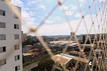 Vista da Suíte de apartamento para alugar com 3 quartos, 82m² em União, Belo Horizonte
