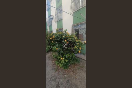 Apartamento para alugar com 50m², 2 quartos e sem vaga Apartamento para alugar com 50m², 2 quartos e sem vagaÁrea externa