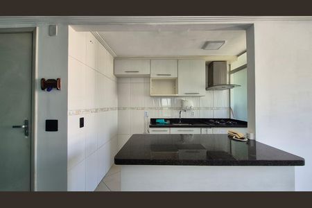 Cozinha de apartamento para alugar com 2 quartos, 54m² em Parque Sao Vicente, Santo André