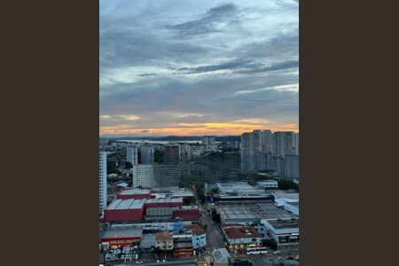 Apartamento à venda com 79m², 3 quartos e 1 vaga