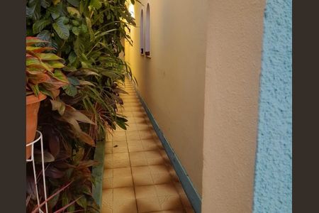 Casa para alugar com 241m², 3 quartos e 3 vagas Casa para alugar com 241m², 3 quartos e 3 vagasÁrea externa