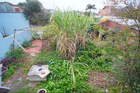 Casa para alugar com 200m², 2 quartos e 4 vagasQuintal
