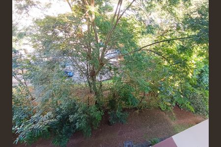 Apartamento para alugar com 77m², 2 quartos e 1 vaga Apartamento para alugar com 77m², 2 quartos e 1 vagaVISTA DESDE QUARTO 3